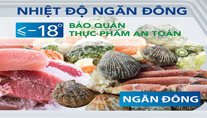 Tủ đông Hòa Phát 1 ngăn 1 cánh HCF 336S1N1